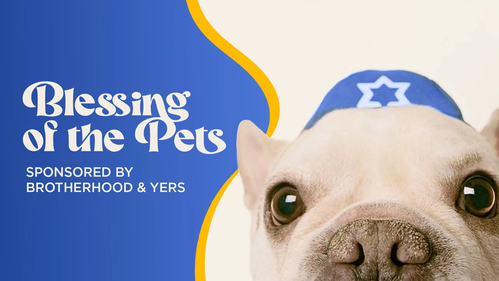 Blessing of the pets banner dog