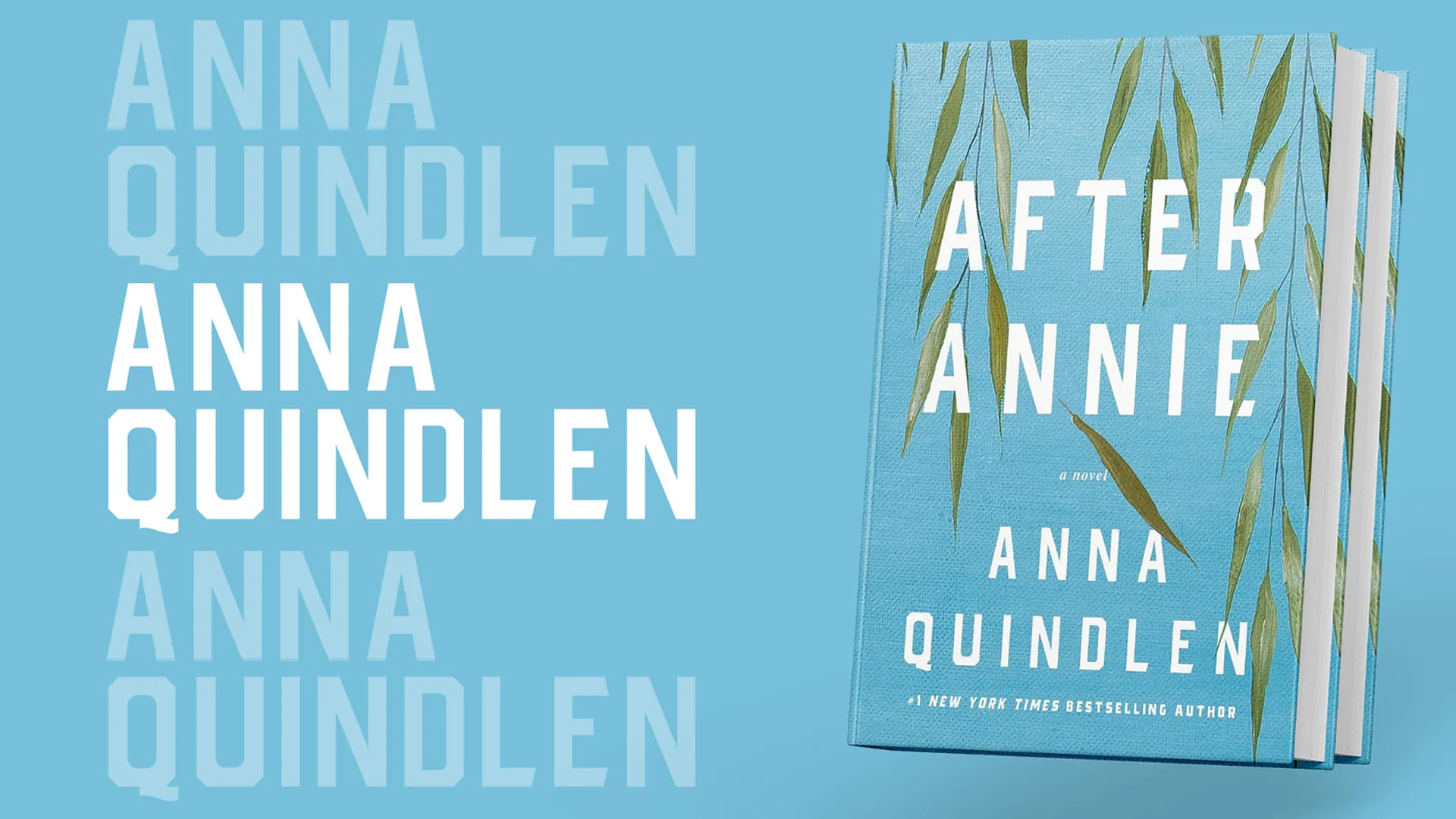 Anna Quindlen Books and Books web banner