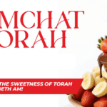 Simchat Torah Web Banner Chocolate Fountain Strawberries Bananas Web Banner