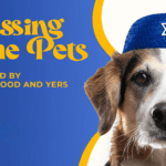 Blessings of the Pets web banner dog