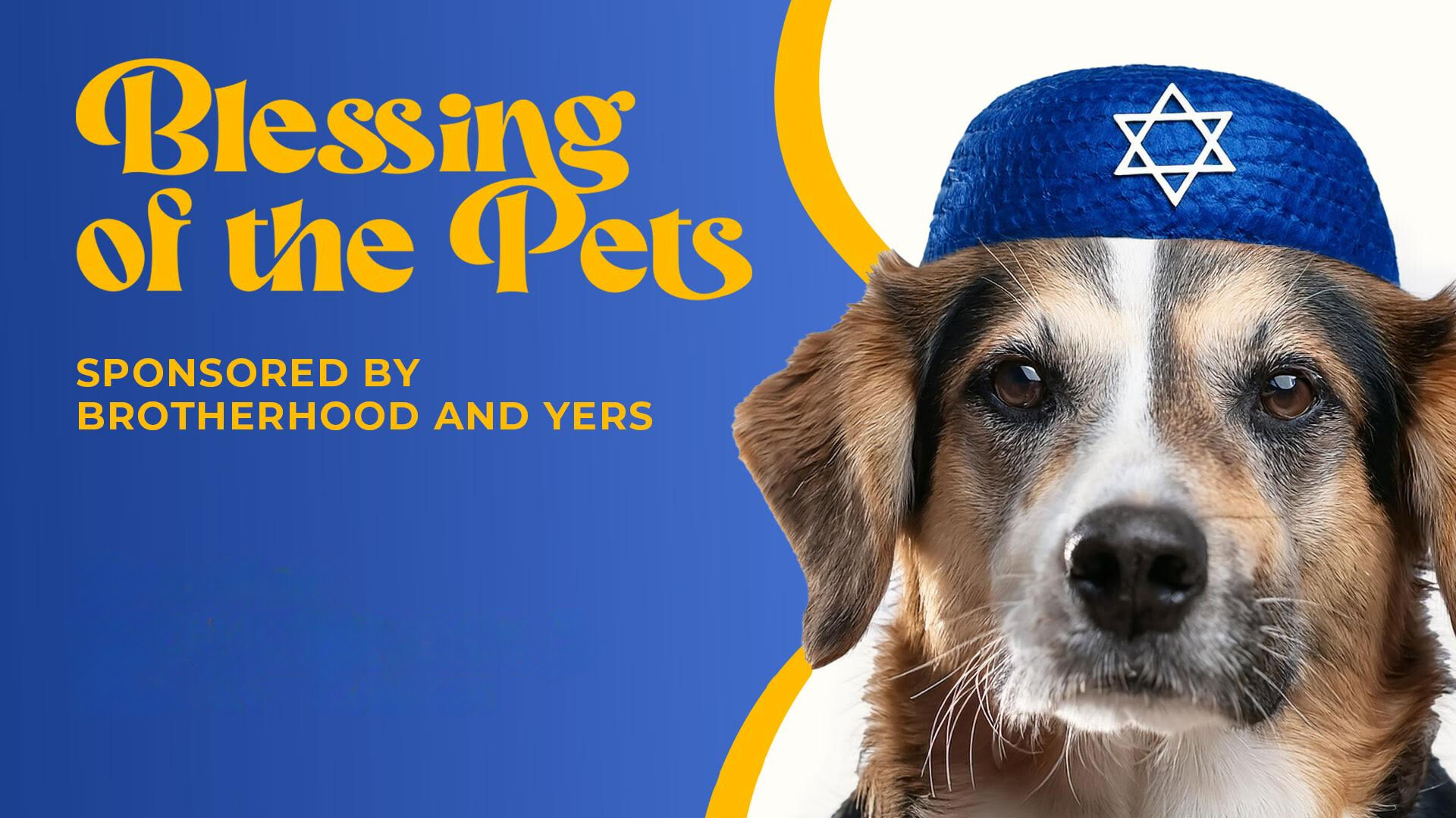 Blessings of the Pets web banner dog